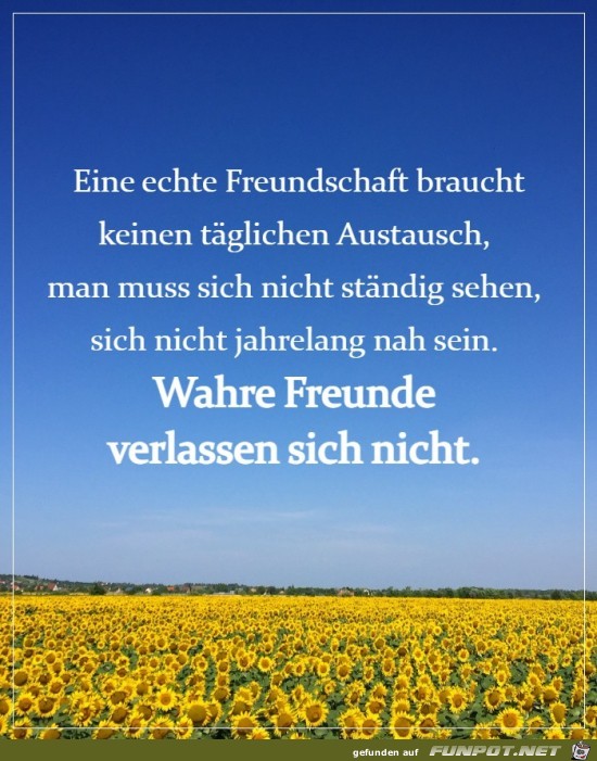 Wahre Freunde