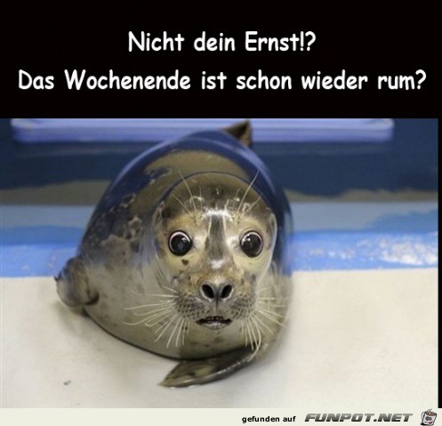 Wochenende ist rum