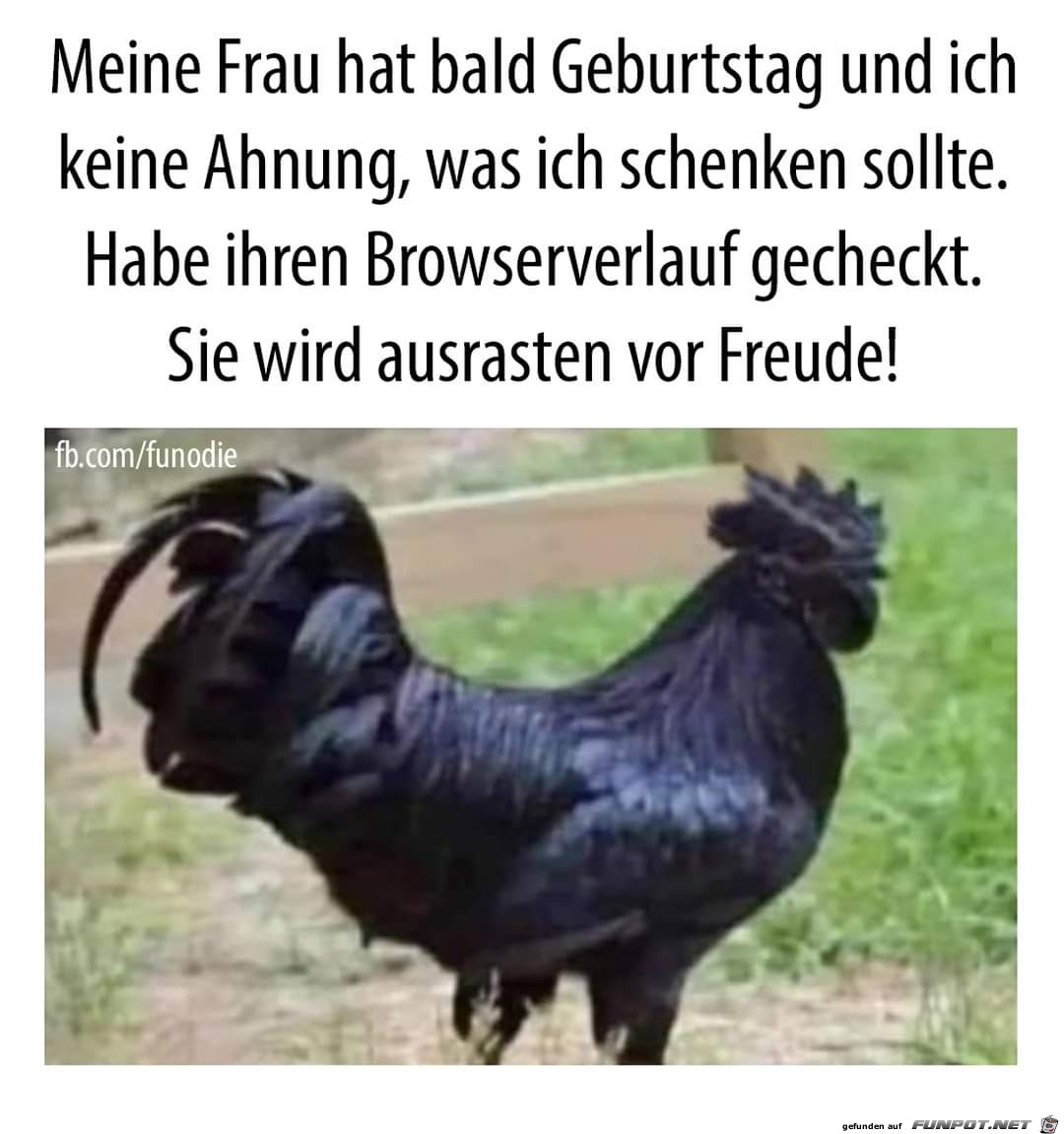 Browserverlauf