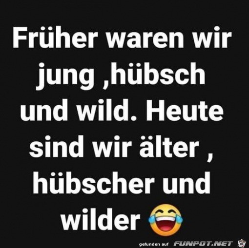 Wie wir frher waren