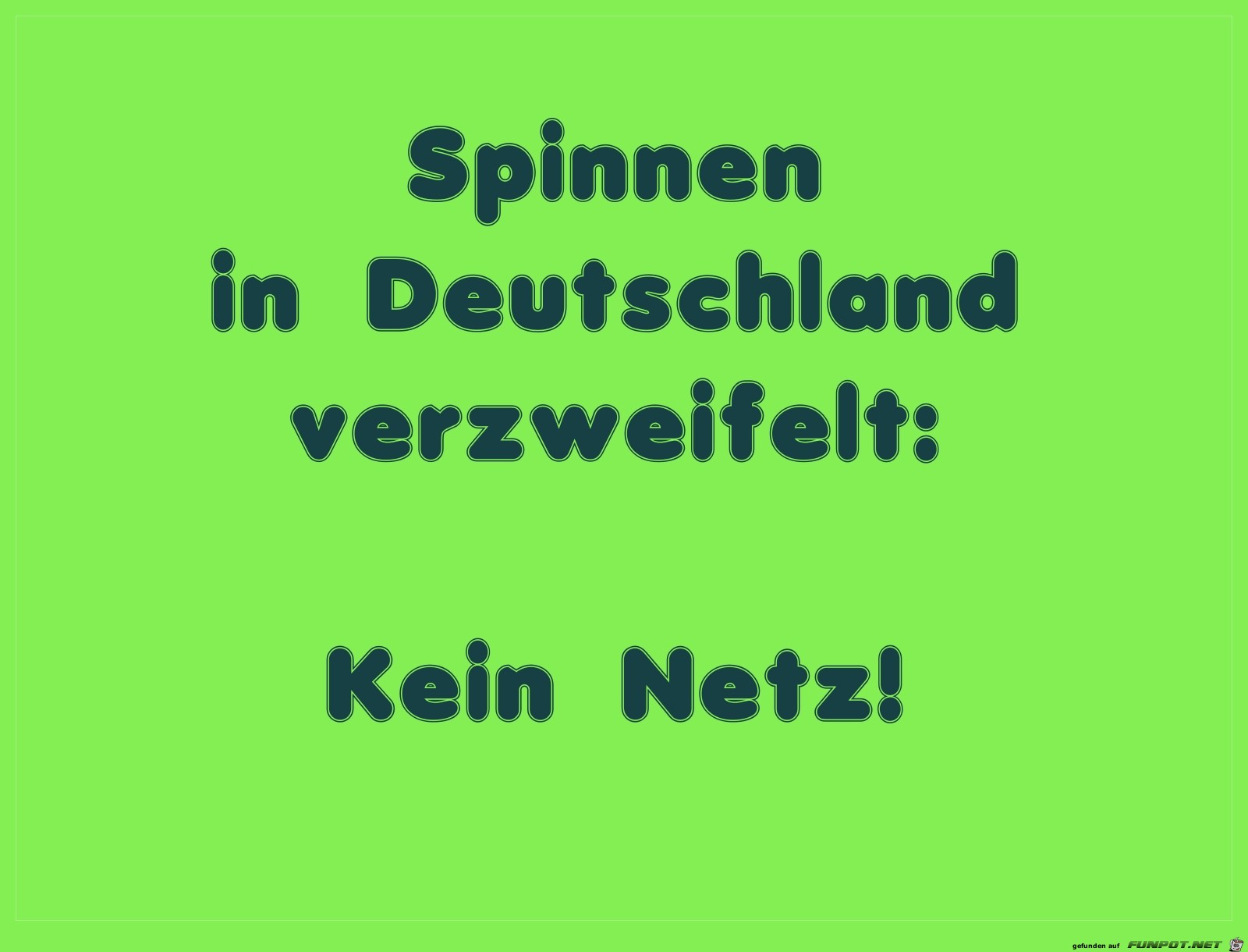 spinnen