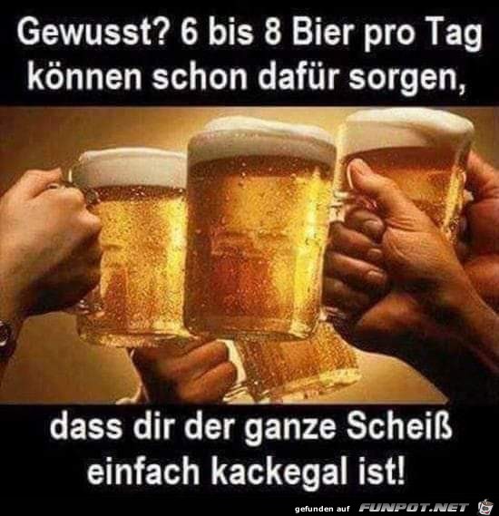 Bier Bier