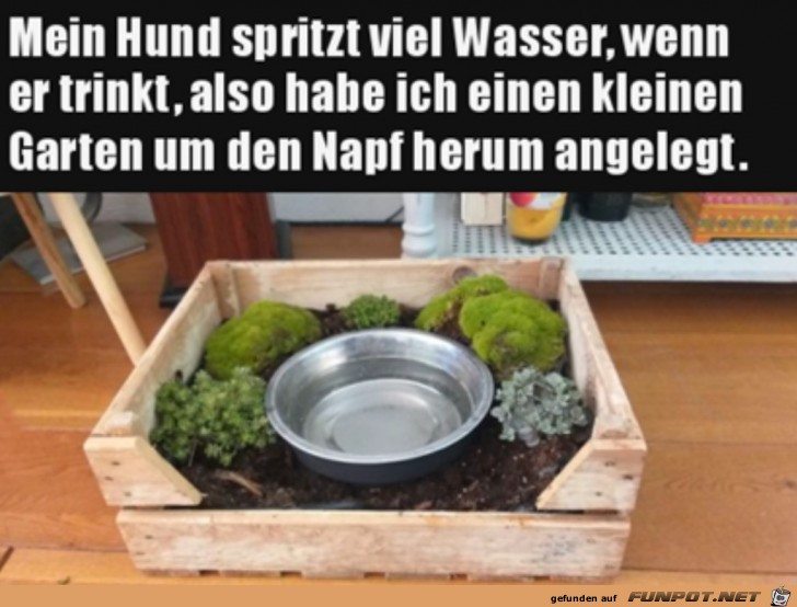 Garten um Trinknapf