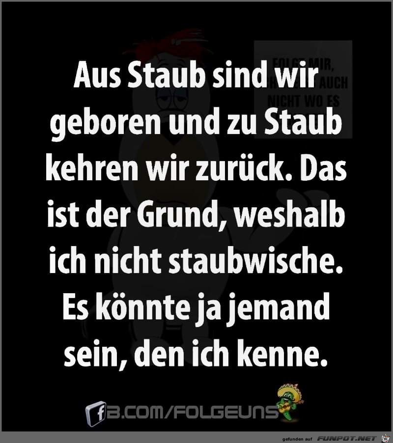 lustiger Spruch: 'Staub