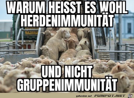 Herdenimmunitt