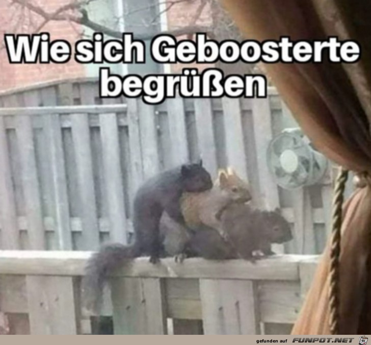 die sind geboostert