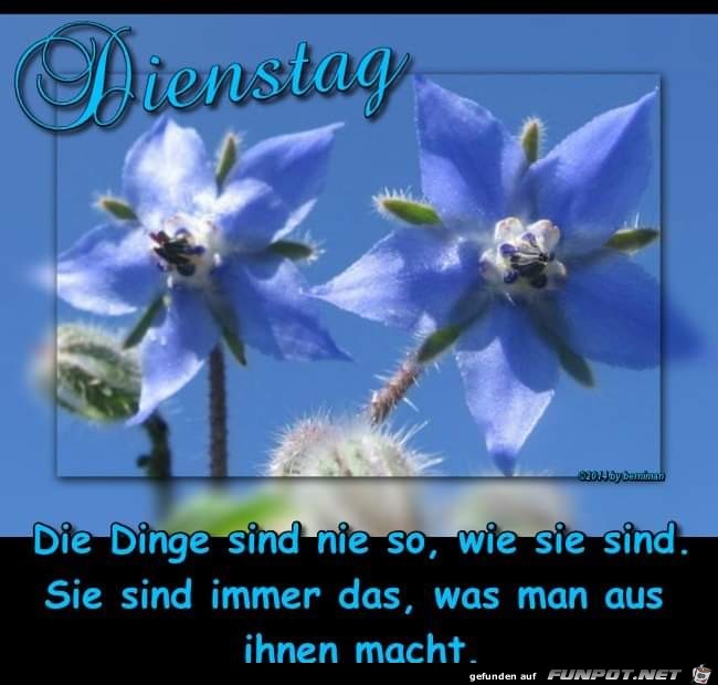 Dienstag