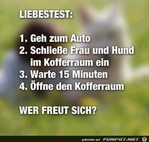 Liebestest