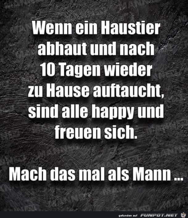 Mach das mal