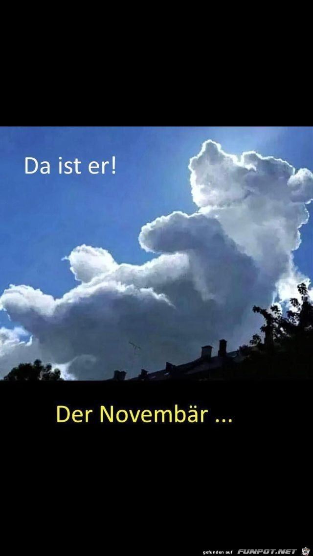 Novembaer