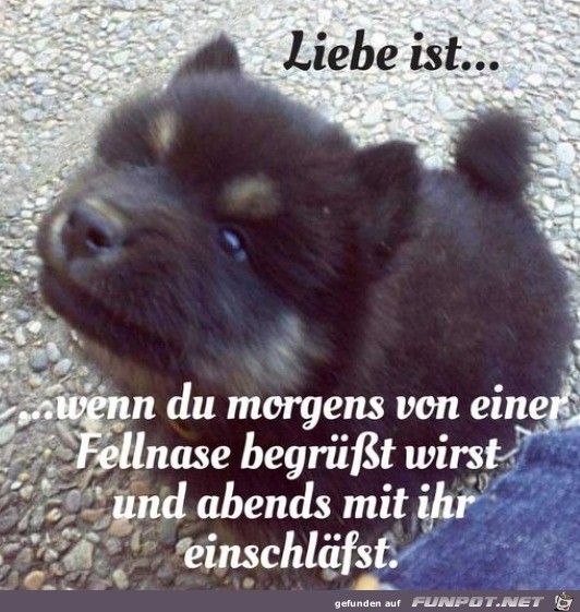 Das ist lieb