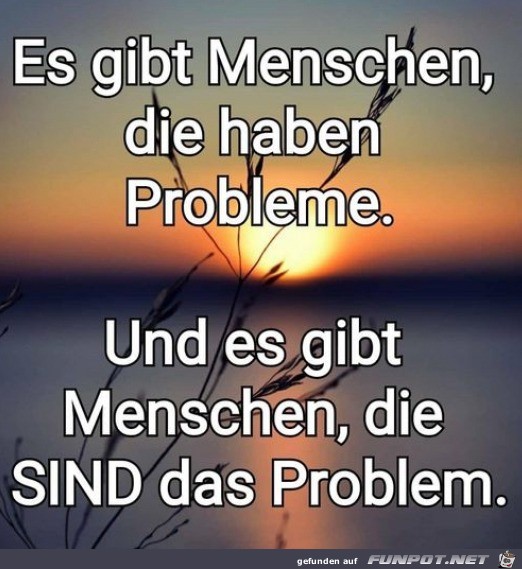 Der Mensch ist das Problem