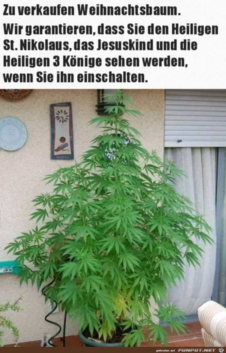 Besonderer Weihnachtsbaum