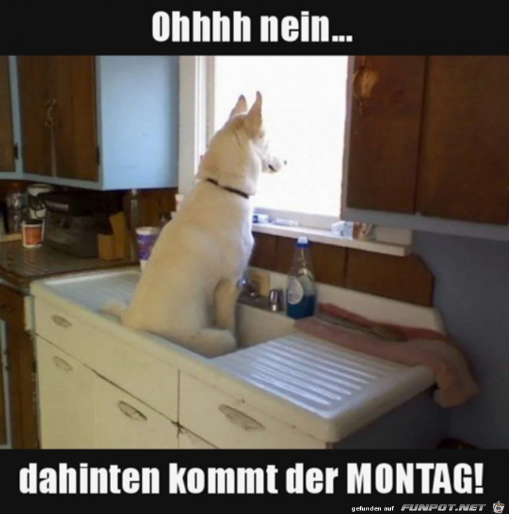 Der Montag kommt