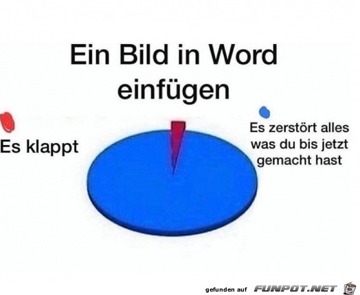 Bild in Word einfgen