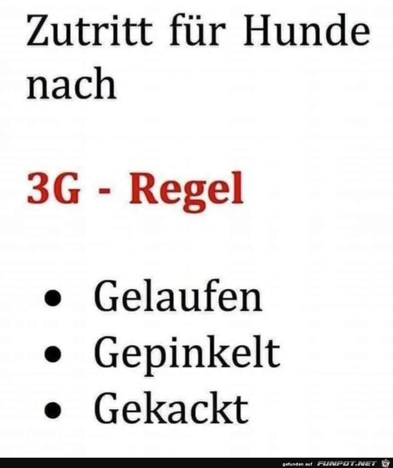 3G - Regel