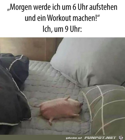 Doch lieber liegen geblieben