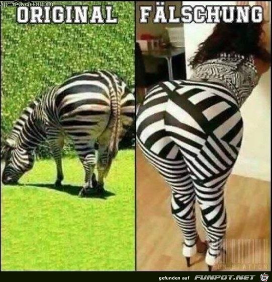 Original vs Faelschung