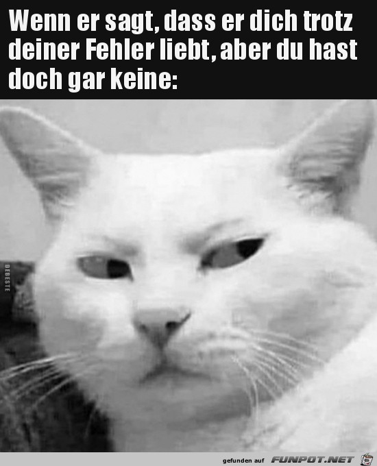 Wenn ER sagt.....