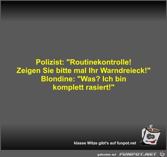 Polizist: Routinekontrolle! Zeigen Sie bitte mal Ihr...