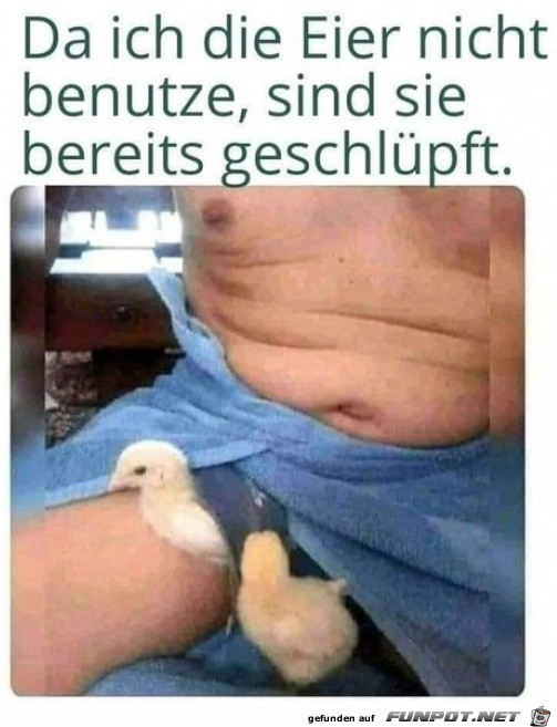 Sie sind geschlpft