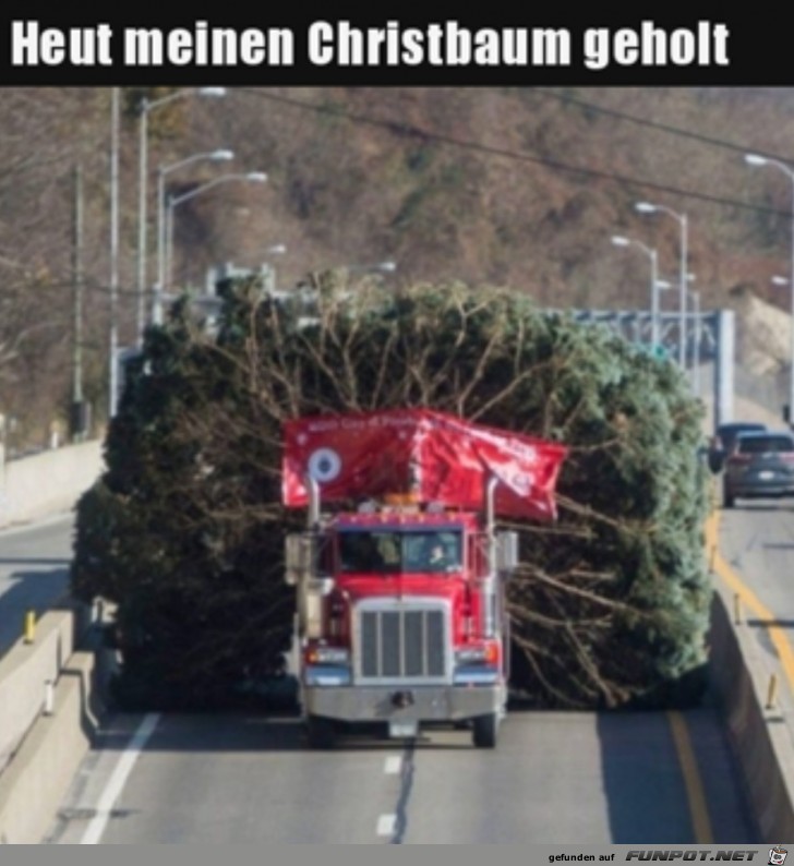 Christbaum gekauft