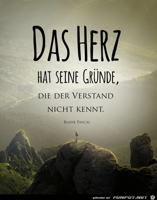 Das Herz