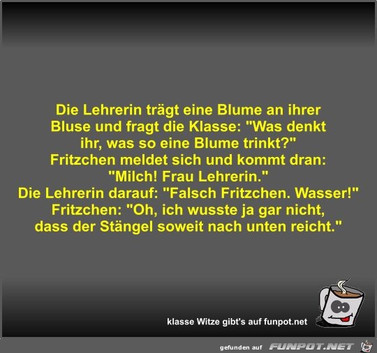 Die Lehrerin trägt eine Blume an ihrer Bluse und fragt die Die Lehrerin trägt eine Blume an ihrer Bluse und fragt die