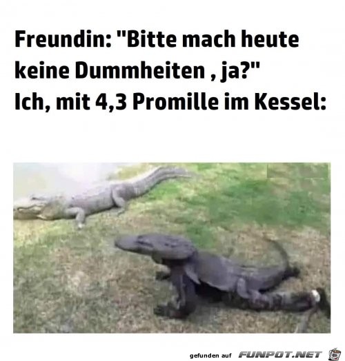 Mach keine Dummheiten