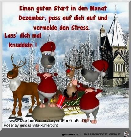 Einen guten Start in den Monat Dezember