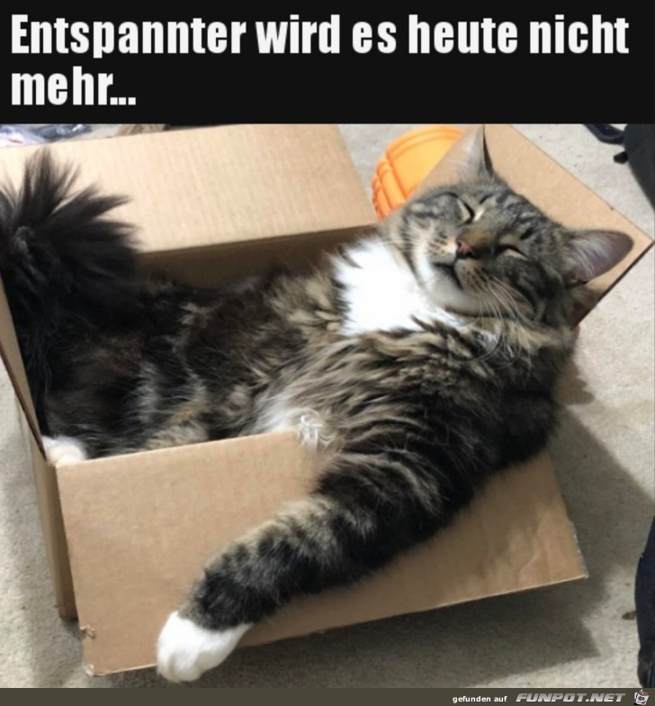 Sehr entspannt