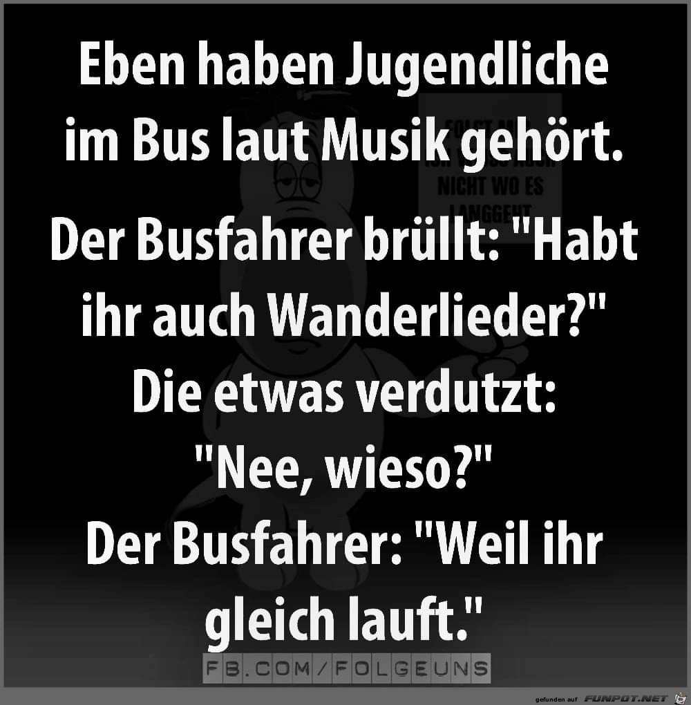 Busfahrer