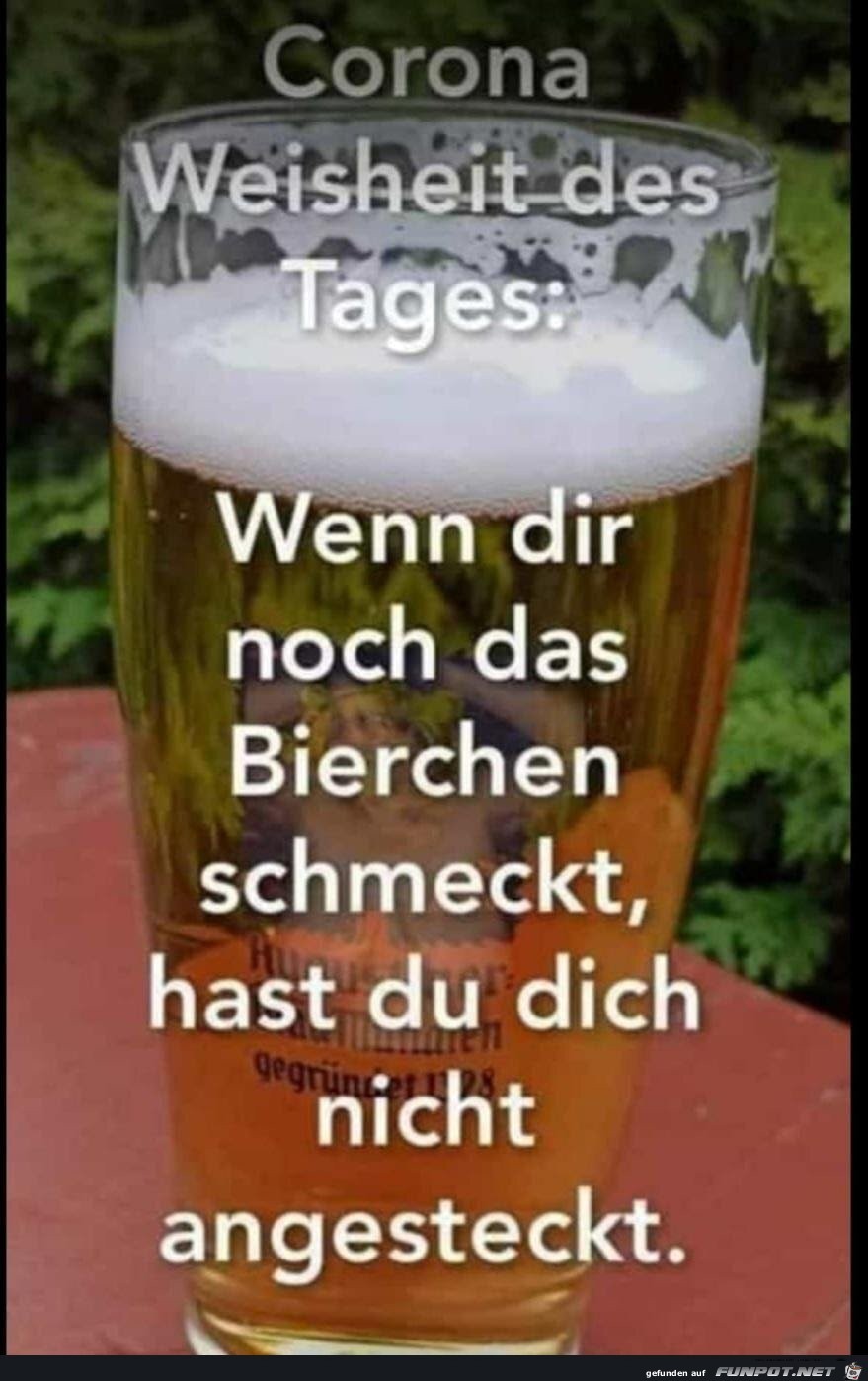 Weisheit des Tages