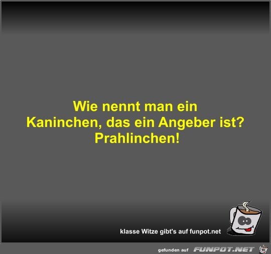 Wie nennt man ein Kaninchen Wie nennt man ein Kaninchen