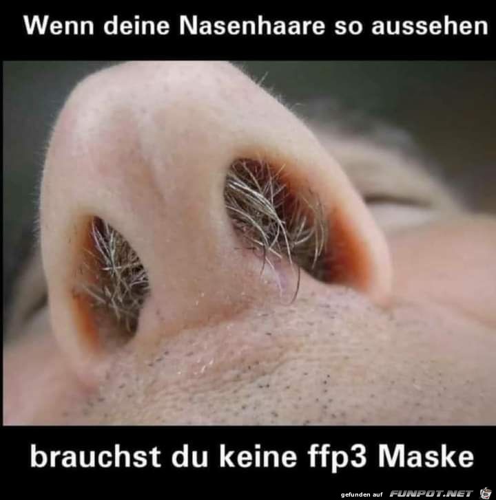 Das Gute an Nasenhaaren