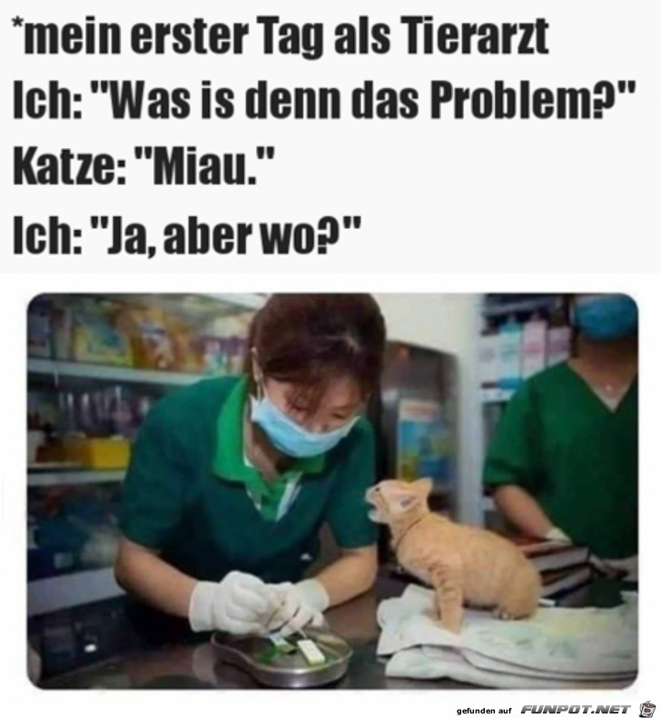 Beim Tierarzt