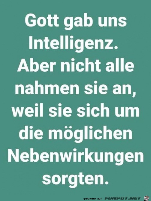 Die Sache mit der Intelligenz