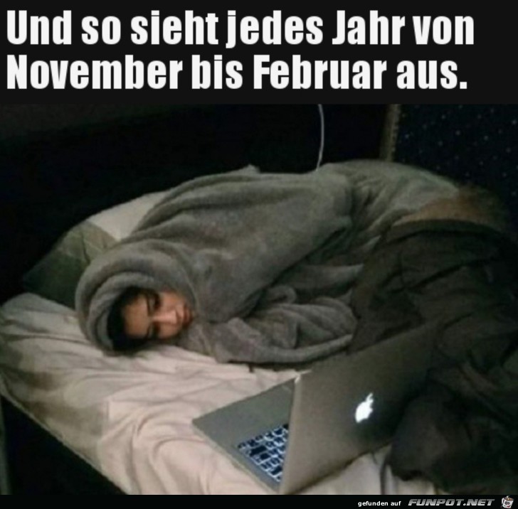 Von November bis Februar