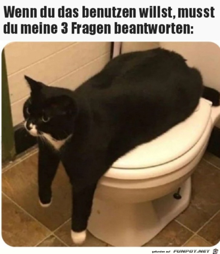 Beantworte erst meine Fragen