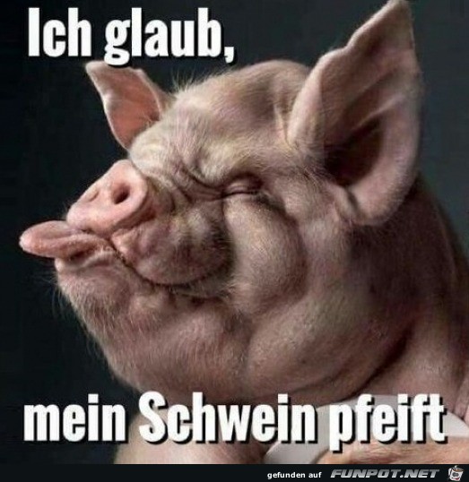 Das Schwein pfeift