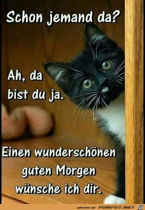 guten Morgen