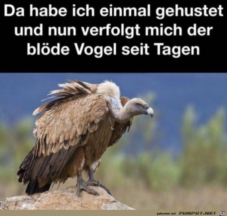 witzige Bilder aus verschiedenen Blogs