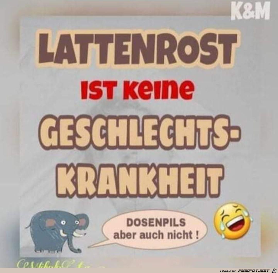 Lattenrost