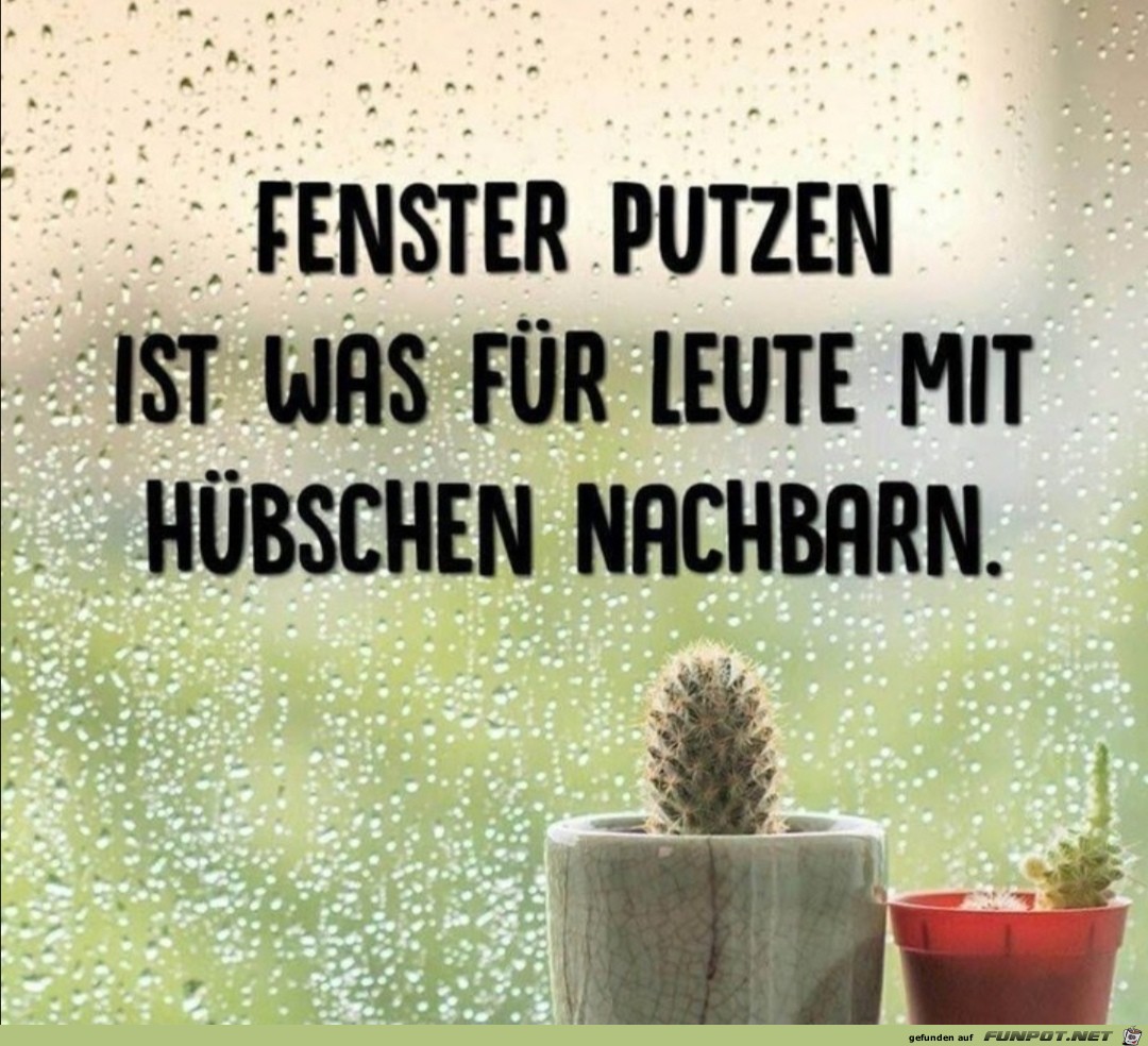 Fenster putzen