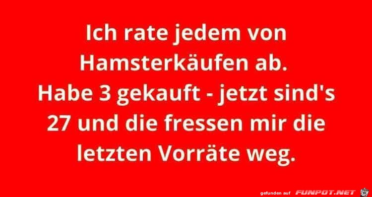 Ich rate jedem