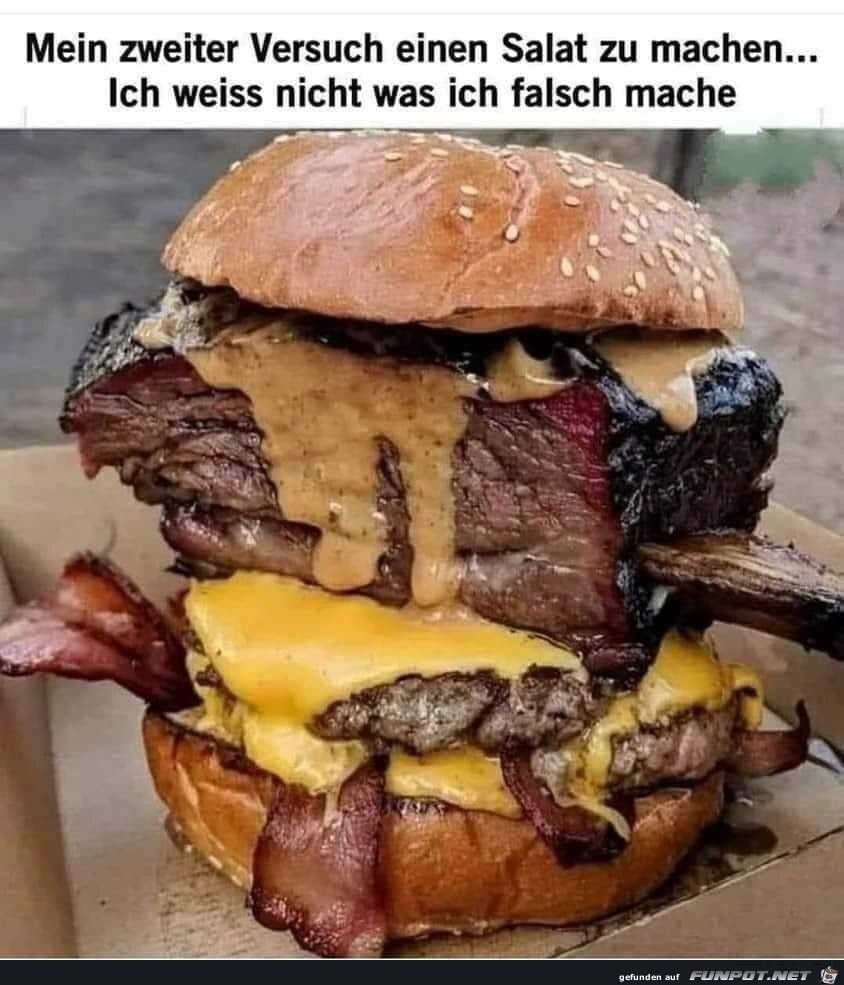 10 Mein zweiter Versuch