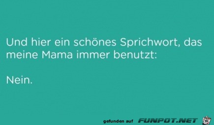 Schnes Sprichwort