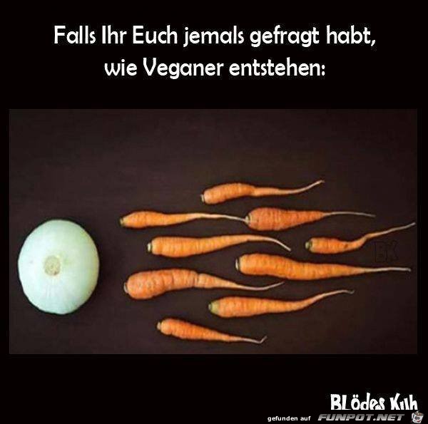 Veganer Veganer