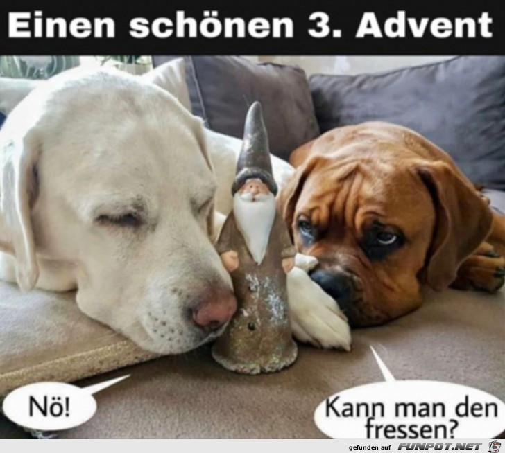 3. Advent