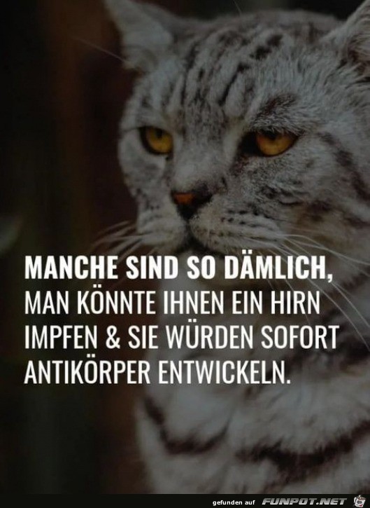 Manche sind so dmlich